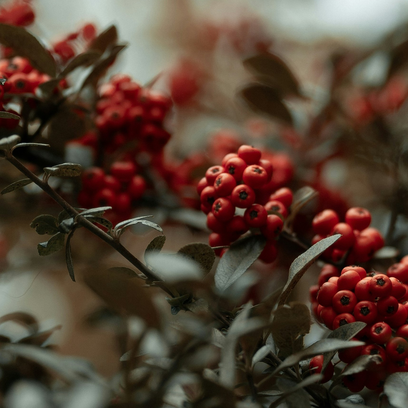 Behind The Scenes at Luss Distillery