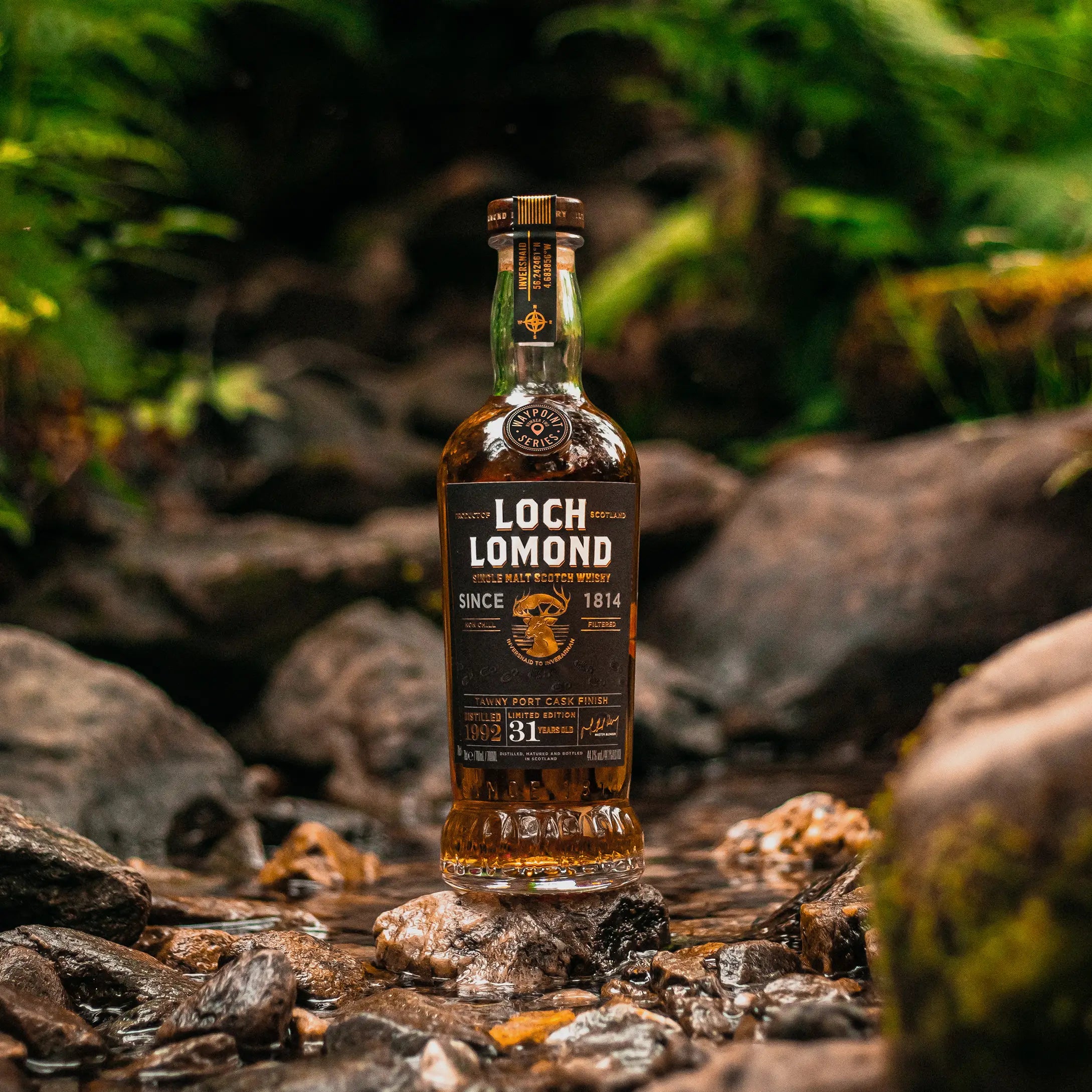 Loch Lomond Waypoint Series Edition 3 -  Inversnaid to Inverarnan 31 year old Whisky